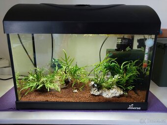 Akvarijní set - 2