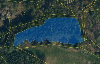 Lesní pozemek k.ú. Nový Rychnov 3.589m2 - 2