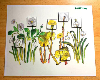 Prvouka- jarní květiny - 2
