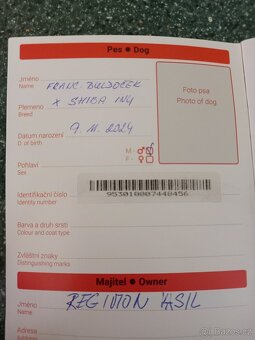 Pejsek - 2