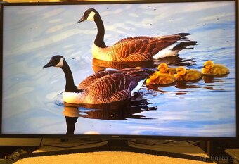 Prodam Samsung UE50KU6072U-125cm(50") 4K UHD SMART WiFi TV. - 2