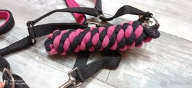 Ohlávka s vodítkem Cob - 2