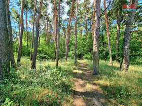 Prodej lesa, 5663 m², Ratíškovice - 2