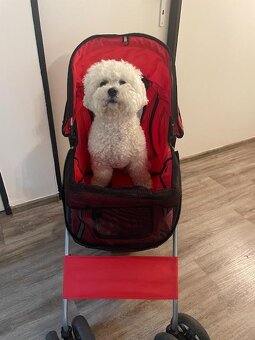 kočárek pro psy a kočky - 2