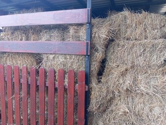 Pšenice 22e a seno 2.7 e kus - 2