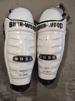 Hokejové holeně - 2