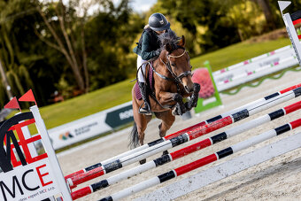 Sportovní pony kategorie B - 2