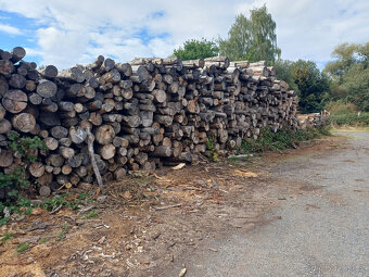 Palivové dřevo - 2