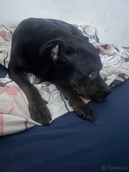 Jen vážní zájemci - 2