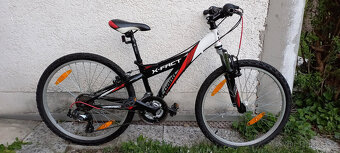 Juniorské 24" kolo, X-Fact Cobra - 2