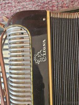 Harmonika Ligna - 2