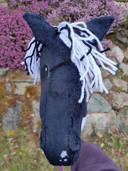 Hobby horse - 2
