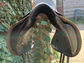 Stubben maestoso - 2