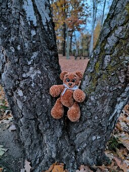 Medvídek mékky - 2