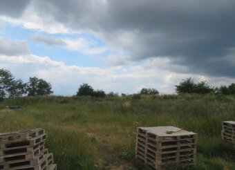 Pozemky v k. ú. Ptice, okres Praha-západ, ID 7940e 1012 - 2