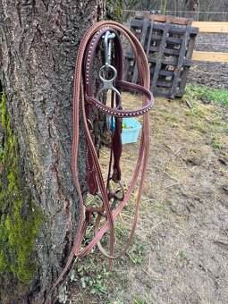 Westernová uzdecka - 2