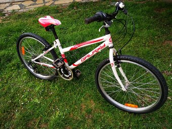 Dívčí kolo Galaxy Ruby - 2