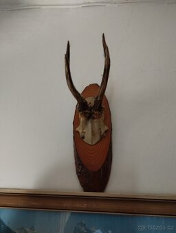 Paroží - 2