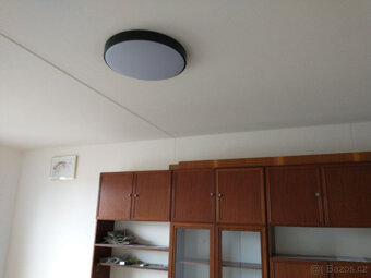 Pronájem bytu 2+kk Hradec Králové, Jungmannova - 2