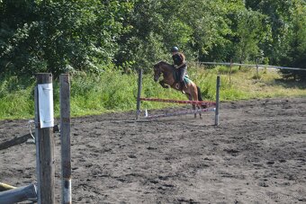 Sportovní pony - 2