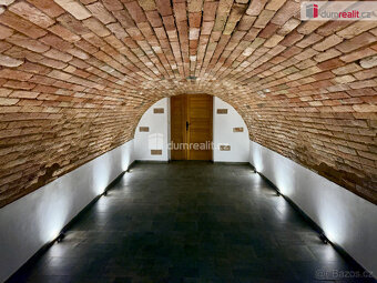 Prodej vinného sklepa v Domaníně - 2