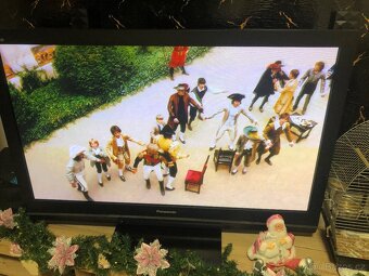 Plasmová TV Panasonic Viera 120cm - 2