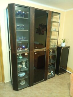 Obývací stěna - variabilní skříňky + skleník - 2