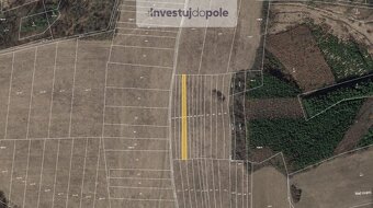 Prodej louky v k.ú. Ludkovice - 2