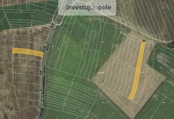 Prodej pole v k.ú. Hříchovice - 2