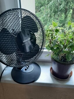 SENCOR stolní ventilátor c černé barvě, nepoužívan - 2