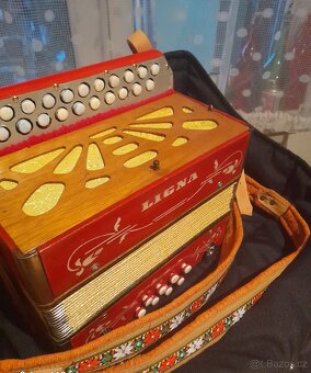 Heligonky Hohner a ligna - 2