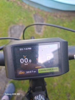 Leader Fox Barnet - 2