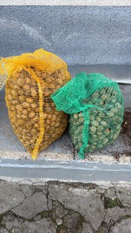 Vlašské ořechy - 2