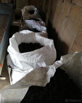 prodej černého uhlí - 2