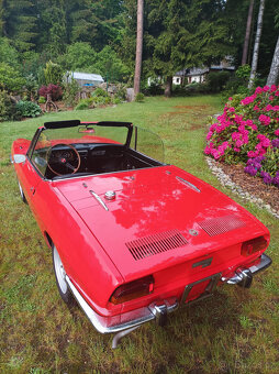 Fiat 850 sport spider - 2