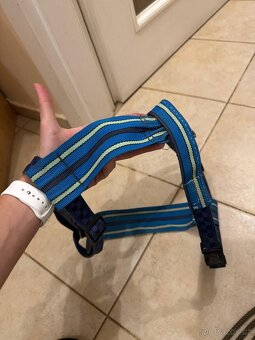 Psí vodítka a postroj - 2