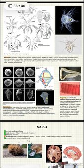 Přijímačky Veterina Brno - 2