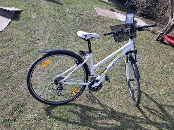 Dámské kolo Author - 2