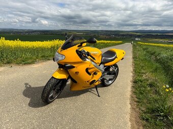 TRIUMPH TT 600 - 2