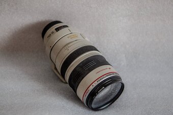 Canon EF 100-400 F4,5-5,6 - 2