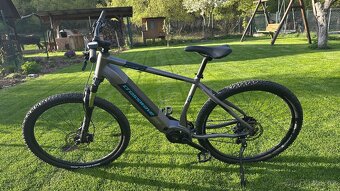 Elektrokolo Bosch performance cx - 2