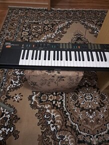 Prodám elektronické klávesy YAMAHA PSR-11 - 2