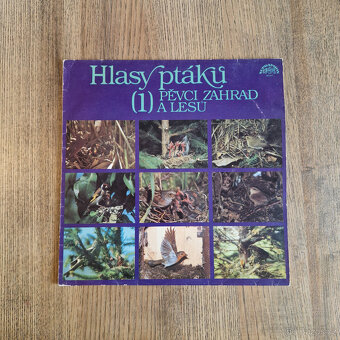 22x LP vinyl, české, různé žánry #4 - 2