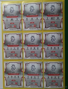 TEAM  20 _ HOKEJOVÉ ČESKO 2024 _ Kompletní sada ( 27 kusů ) - 2