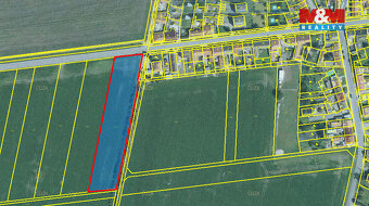Prodej pole, 6153 m², Kralice na Hané - 2