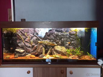 Akvarijní set Juwel - 2