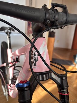 Specialized Specialized EPIC 7 pro LTD - 2