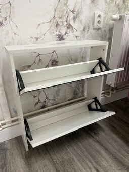 Zrcadlový botnik - 2