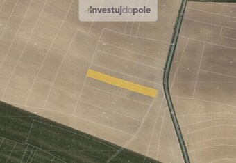 Prodej pole v k.ú. Jíkev - 2