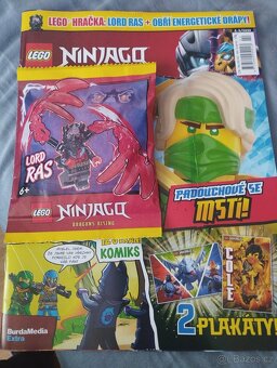 Ninjago Lord RAS - 2